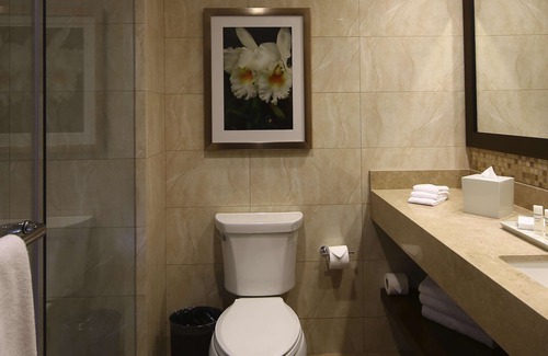Santa Ana Hotel | Hilton Garden Inn Cusco