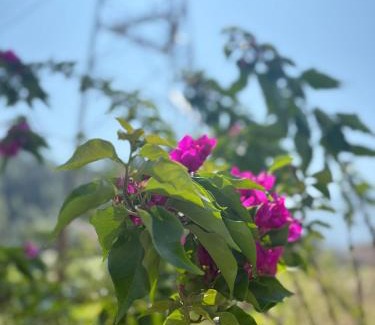 Dunda Hotel | Himalayan home stay