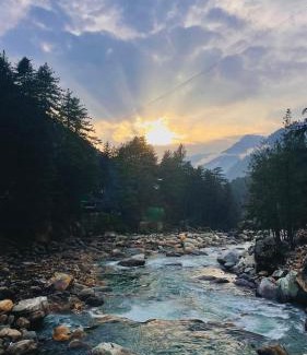 Kasol Hotel | Himalyan Pine Cafe