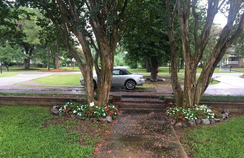 Aiken Cottage | Historic Downtowncottage/pet okOriginal art/Gourmet kitchen stunning renovation