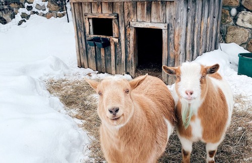 Manchester Center House | Historic Renovated Barn at Boorn Brook Farm - Manchester Vermont