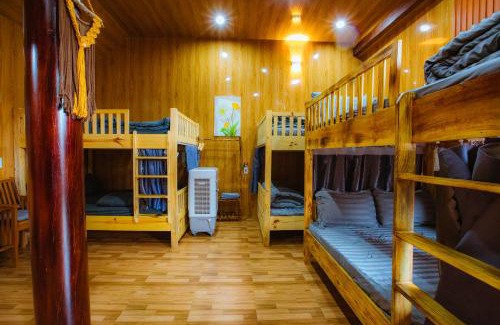 Kon Plong Apartment | Hoa Cúc Homestay Măng Đen