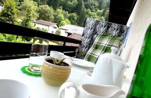 Hohenschwangau Apartment | Hofwiese