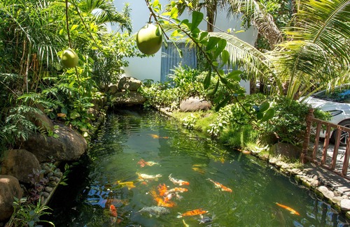 Thanh Ha Apartment | Hoi An Retreat - Family Escapes