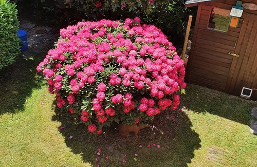 Ekernermoor Apartment | Holiday Apartment "Erika" with Private Terrace, Private Garden and Wi-Fi