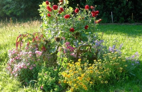 Kirchdorf im Wald House | Holiday apartment Kirchdorf for 1 - 2 persons with 1 bedroom - Holiday house