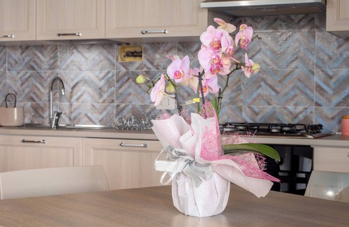 Tanaunella Apartment | Holiday Apartment 'La Finestra sul Mare' with Sea View & Terrace