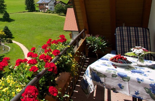 Tonbach Apartment | Holiday Apartment Type C 40, 45sqm, 1 Living/Sleeping Room, Max. 2 Persons