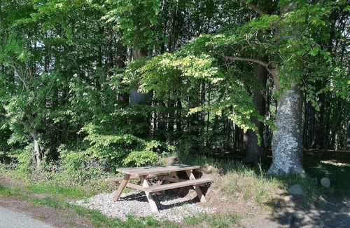 Westerholz Apartment | Holiday apartment Westerholz for 1 - 4 persons with 2 bedrooms - Holiday apartment