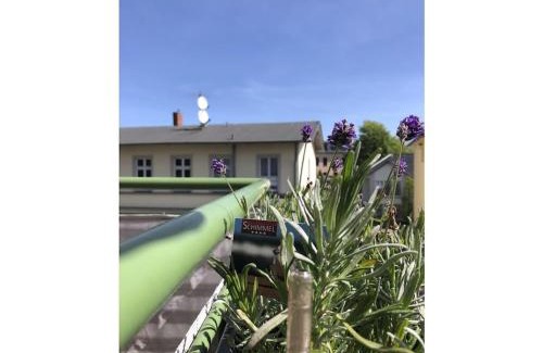 Ahlbeck House | Holiday apartment with 2 bedrooms