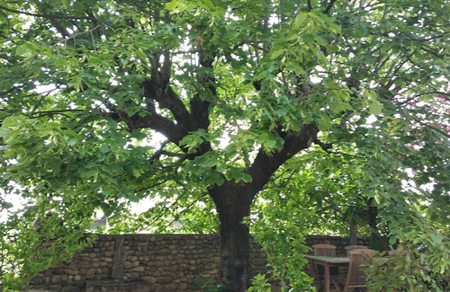 Valensole House | Holiday cottage near lavender fields with swimming pool By FeelLuxuryholidays