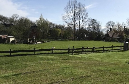 Vitzdorf House | Holiday home for 6 guests with 135m² in Fehmarn OT Vitzdorf (92295)