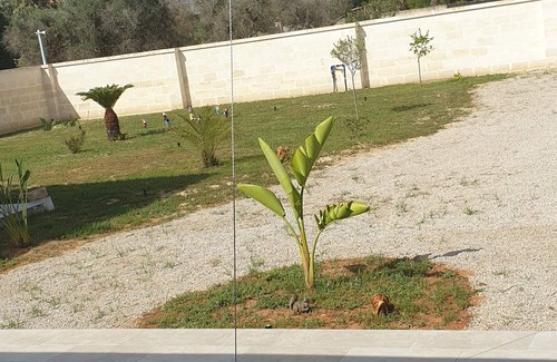 Leverano Apartment | Holiday home 7km from the Salento beaches