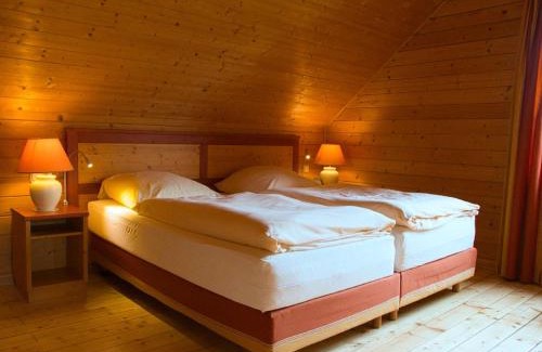 Oberharz am Brocken House | Holiday Home Auerhahn-1 by Interhome