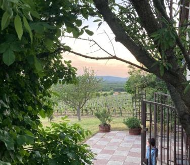 Dorgicse House | Holiday Home in Dörgicse Vineyard