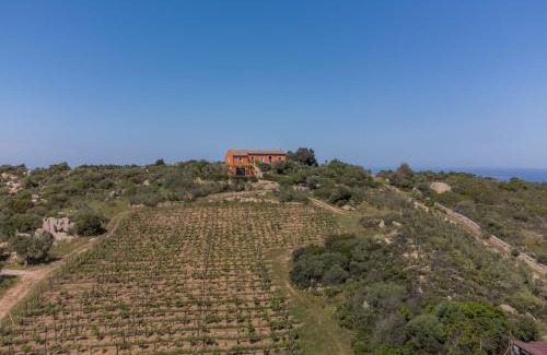 Arzachena House | Holiday Home Rita by Interhome
