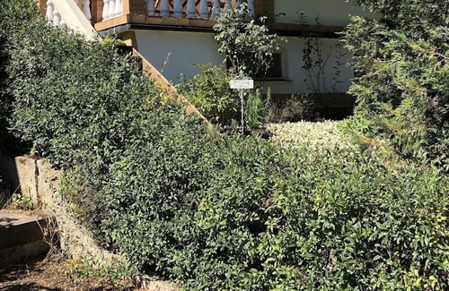 Riepke House | Holiday house Cammin for 1 - 2 persons with 1 bedroom - Holiday home