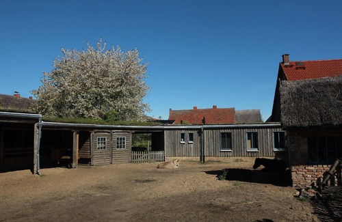 Warsin House | Holiday house Vogelsang-Warsin for 1 - 6 persons with 1 bedroom - Holiday home