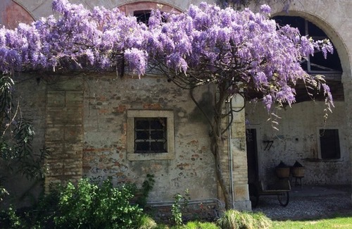 Gonars House | Holiday house Fauglis for 1 - 6 persons with 3 bedrooms - Holiday home