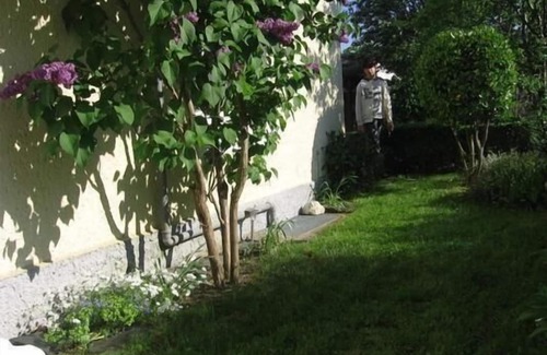 Trittenheim House | Holiday house Trittenheim for 1 - 7 persons with 3 bedrooms - Holiday home