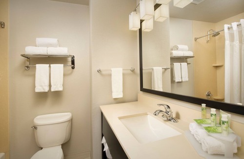 Grapevine Hotel | Holiday Inn Express & Suites DFW - Grapevine by IHG