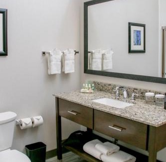 Centennial Hotel | Holiday Inn & Suites Denver Tech Center-Centennial by IHG