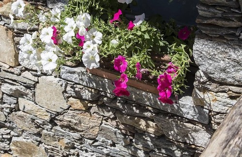 Comero Other | Holiday apartment San Bernardino Verbano for 1 - 5 persons with 1 bedroom - Farmhouse