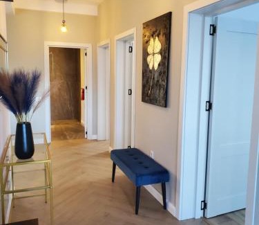 Baile Felix House | Holiday Residences Baile Felix 1 Mai