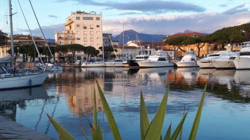 Viareggio Apartment | Holiday Suite Versilia