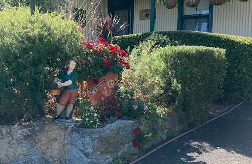 Albany Cottage | Home away from home only better
