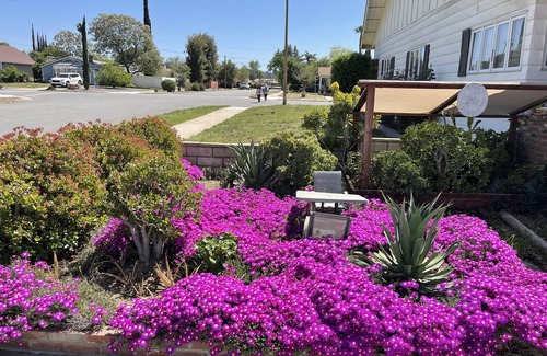 Redlands House | Home In Charming Historical Town nNear Forest Falls and Big Bear Lake. Pets We❤️