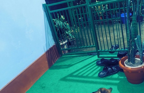 Kurseong Bed & Breakfast | Home in Sittong! Rooms available with Mountain View. Simple and Serene Stay
