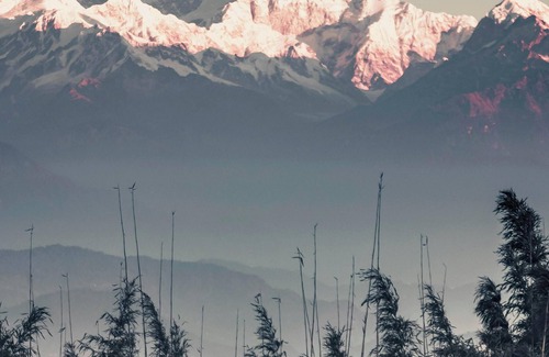 Darjeeling House | Home in the lap of nature nIn a peaceful location. Darjeeling