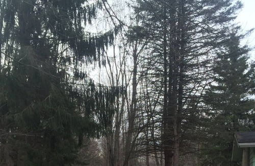 Howell House | Home on 10 Acres! Romantic getaway, Hunting paradise, Family vacation,Events