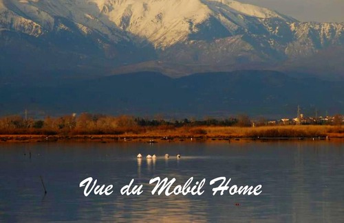 La Cote Radieuse House | Homerez - 150 m away from the beach! Nice bungalow for 6 ppl. with shared pool