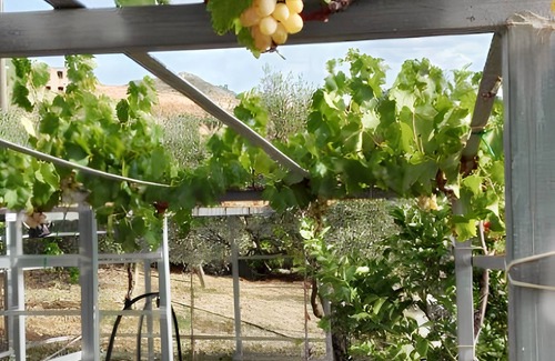 Lercara Friddi Apartment | Homerez - Apt. in Lercara Friddi