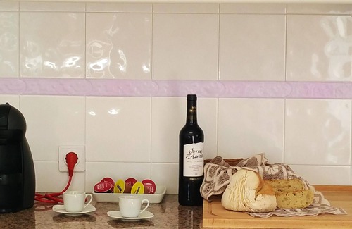 Sao Simao House | Homerez - Big house 16 km away from the beach for 9 ppl. with swimming-pool