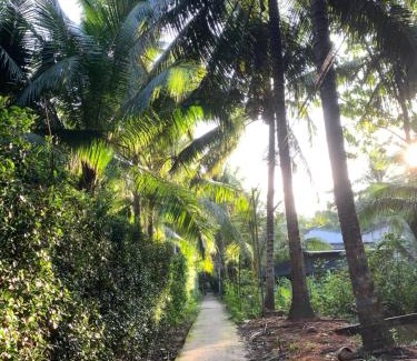 Ben Tre Bed & Breakfast | Homestay and Tour Ben Tre