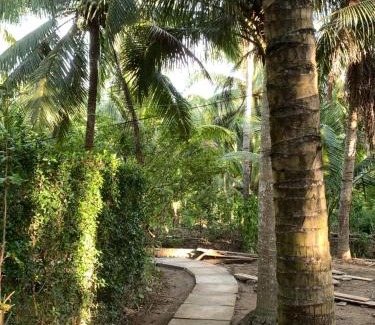 Ben Tre Bed & Breakfast | Homestay and Tour Ben Tre