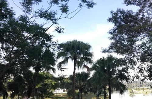 Putrajaya Apartment | Homestay King Putrajaya sebelah Alamanda