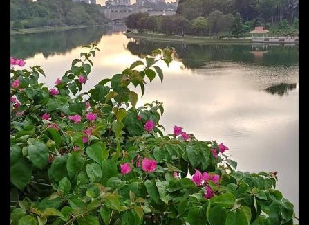 Putrajaya Apartment | Homestay King Putrajaya sebelah Alamanda