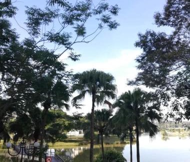 Putrajaya Apartment | Homestay King Putrajaya sebelah Alamanda