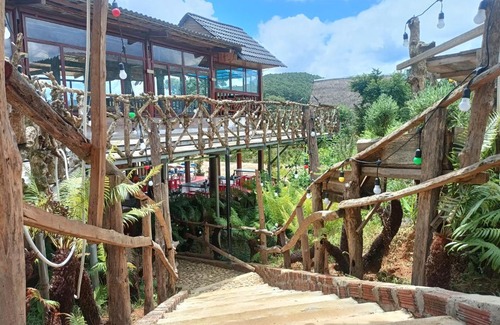 Kon Plong Apartment | Homestay konpring
