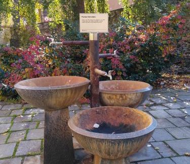 Podebrady House | Homestay Poděbrady