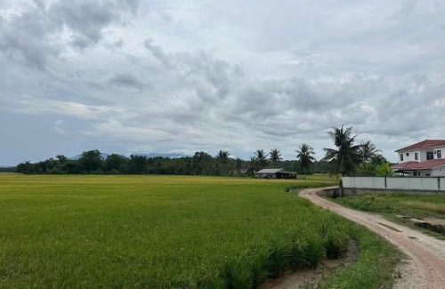 Kampung Teluk Wang Besar House | Homestay Teluk Bayu