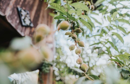 Da Lat House | Homestay Thé 11th