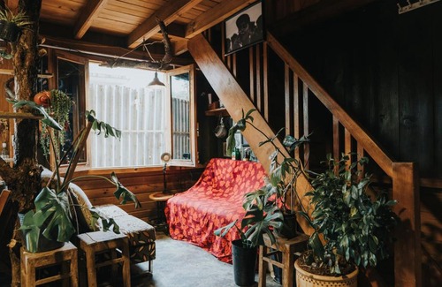 Da Lat House | Homestay Thé 11th