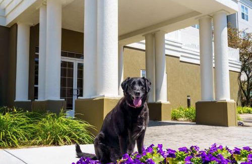 Erie Hotel | Homewood Suites by Hilton Erie