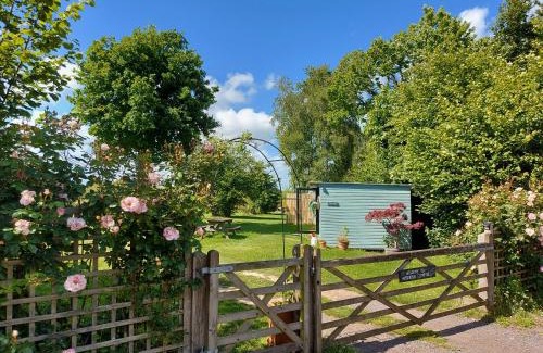 Wadhurst Other | Hopgarden Glamping and camping - Luxury furnished Bell tents & Shepherd huts plus camp field to pitch your own tents