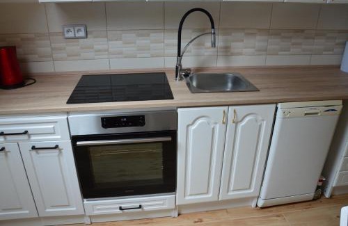 Bartosovice v Orlickych horach Apartment | Horský apartmán Pod Zelenou Střechou